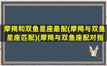 摩羯和双鱼星座最配(摩羯与双鱼星座匹配)(摩羯与双鱼座配对指数)