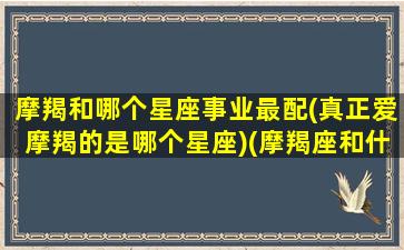 摩羯和哪个星座事业最配(真正爱摩羯的是哪个星座)(摩羯座和什么星座工作最搭)