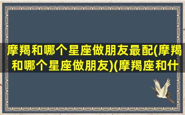 摩羯和哪个星座做朋友最配(摩羯和哪个星座做朋友)(摩羯座和什么星座是最好的朋友)