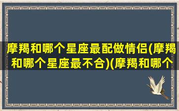 摩羯和哪个星座最配做情侣(摩羯和哪个星座最不合)(摩羯和哪个星座最合适)