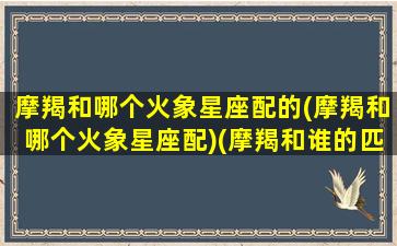 摩羯和哪个火象星座配的(摩羯和哪个火象星座配)(摩羯和谁的匹配度最高)