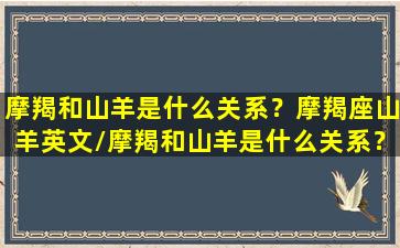 摩羯和山羊是什么关系？摩羯座山羊英文/摩羯和山羊是什么关系？摩羯座山羊英文-我的网站