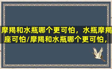 摩羯和水瓶哪个更可怕，水瓶摩羯座可怕/摩羯和水瓶哪个更可怕，水瓶摩羯座可怕-我的网站