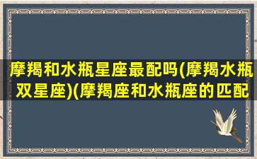 摩羯和水瓶星座最配吗(摩羯水瓶双星座)(摩羯座和水瓶座的匹配程度)