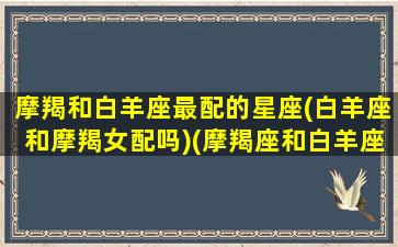 摩羯和白羊座最配的星座(白羊座和摩羯女配吗)(摩羯座和白羊座绝配)