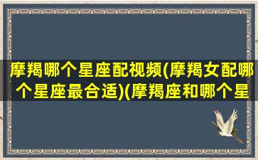 摩羯哪个星座配视频(摩羯女配哪个星座最合适)(摩羯座和哪个星座最配的短视频)