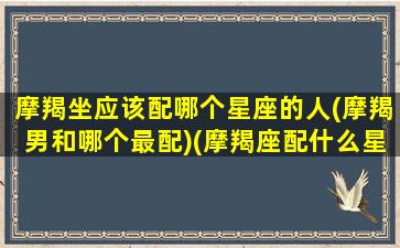 摩羯坐应该配哪个星座的人(摩羯男和哪个最配)(摩羯座配什么星座男生)