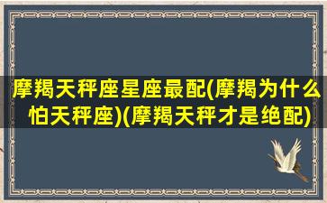 摩羯天秤座星座最配(摩羯为什么怕天秤座)(摩羯天秤才是绝配)