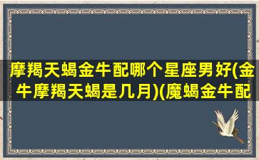 摩羯天蝎金牛配哪个星座男好(金牛摩羯天蝎是几月)(魔蝎金牛配对)