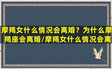 摩羯女什么情况会离婚？为什么摩羯座会离婚/摩羯女什么情况会离婚？为什么摩羯座会离婚-我的网站