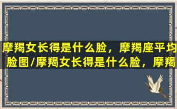 摩羯女长得是什么脸，摩羯座平均脸图/摩羯女长得是什么脸，摩羯座平均脸图-我的网站