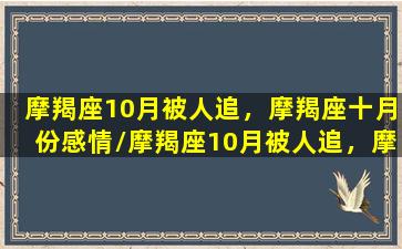 摩羯座10月被人追，摩羯座十月份感情/摩羯座10月被人追，摩羯座十月份感情-我的网站