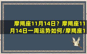 摩羯座11月14日？摩羯座11月14日一周运势如何/摩羯座11月14日？摩羯座11月14日一周运势如何-我的网站