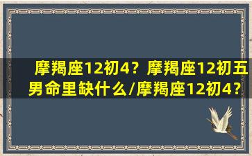 摩羯座12初4？摩羯座12初五男命里缺什么/摩羯座12初4？摩羯座12初五男命里缺什么-我的网站