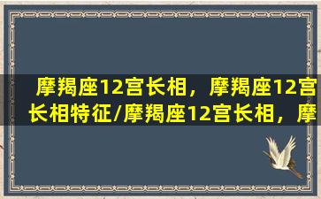 摩羯座12宫长相，摩羯座12宫长相特征/摩羯座12宫长相，摩羯座12宫长相特征-我的网站