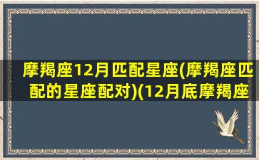 摩羯座12月匹配星座(摩羯座匹配的星座配对)(12月底摩羯座)