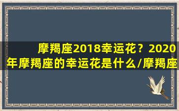 摩羯座2018幸运花？2020年摩羯座的幸运花是什么/摩羯座2018幸运花？2020年摩羯座的幸运花是什么-我的网站