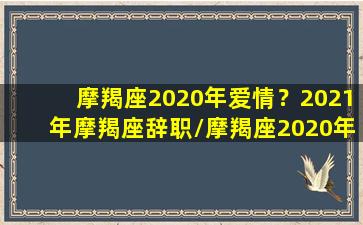 摩羯座2020年爱情？2021年摩羯座辞职/摩羯座2020年爱情？2021年摩羯座辞职-我的网站