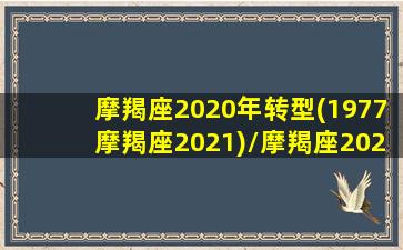 摩羯座2020年转型(1977摩羯座2021)/摩羯座2020年转型(1977摩羯座2021)-我的网站