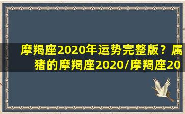 摩羯座2020年运势完整版？属猪的摩羯座2020/摩羯座2020年运势完整版？属猪的摩羯座2020-我的网站