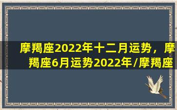 摩羯座2022年十二月运势，摩羯座6月运势2022年/摩羯座2022年十二月运势，摩羯座6月运势2022年-我的网站