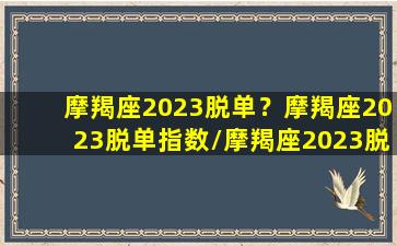 摩羯座2023脱单？摩羯座2023脱单指数/摩羯座2023脱单？摩羯座2023脱单指数-我的网站