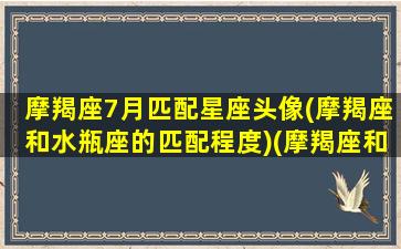 摩羯座7月匹配星座头像(摩羯座和水瓶座的匹配程度)(摩羯座和各个星座配对指数)