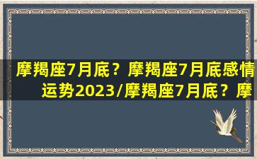 摩羯座7月底？摩羯座7月底感情运势2023/摩羯座7月底？摩羯座7月底感情运势2023-我的网站