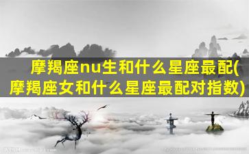 摩羯座nu生和什么星座最配(摩羯座女和什么星座最配对指数)