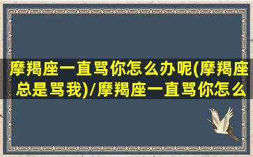 摩羯座一直骂你怎么办呢(摩羯座总是骂我)/摩羯座一直骂你怎么办呢(摩羯座总是骂我)-我的网站