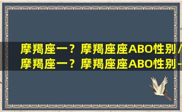 摩羯座一？摩羯座座ABO性别/摩羯座一？摩羯座座ABO性别-我的网站(摩羯座ab型男)