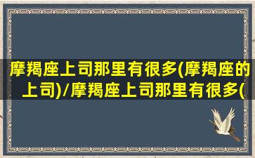 摩羯座上司那里有很多(摩羯座的上司)/摩羯座上司那里有很多(摩羯座的上司)-我的网站