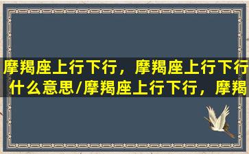 摩羯座上行下行，摩羯座上行下行什么意思/摩羯座上行下行，摩羯座上行下行什么意思-我的网站