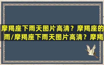 摩羯座下雨天图片高清？摩羯座的雨/摩羯座下雨天图片高清？摩羯座的雨-我的网站