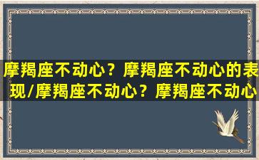 摩羯座不动心？摩羯座不动心的表现/摩羯座不动心？摩羯座不动心的表现-我的网站