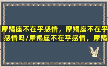 摩羯座不在乎感情，摩羯座不在乎感情吗/摩羯座不在乎感情，摩羯座不在乎感情吗-我的网站