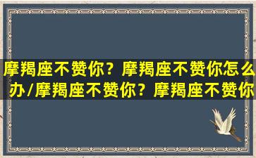 摩羯座不赞你？摩羯座不赞你怎么办/摩羯座不赞你？摩羯座不赞你怎么办-我的网站