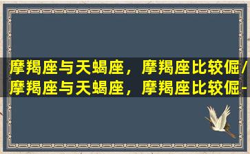 摩羯座与天蝎座，摩羯座比较倔/摩羯座与天蝎座，摩羯座比较倔-我的网站