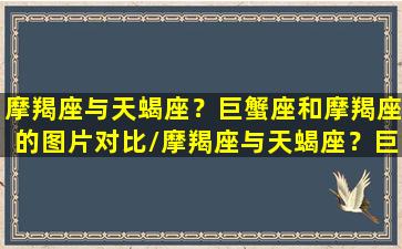 摩羯座与天蝎座？巨蟹座和摩羯座的图片对比/摩羯座与天蝎座？巨蟹座和摩羯座的图片对比-我的网站