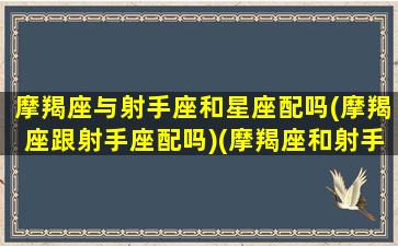 摩羯座与射手座和星座配吗(摩羯座跟射手座配吗)(摩羯座和射手座之间的星座)