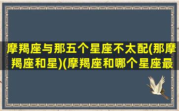 摩羯座与那五个星座不太配(那摩羯座和星)(摩羯座和哪个星座最不合适)