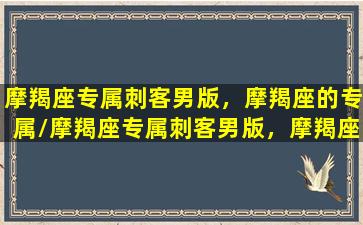 摩羯座专属刺客男版，摩羯座的专属/摩羯座专属刺客男版，摩羯座的专属-我的网站