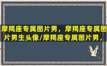 摩羯座专属图片男，摩羯座专属图片男生头像/摩羯座专属图片男，摩羯座专属图片男生头像-我的网站