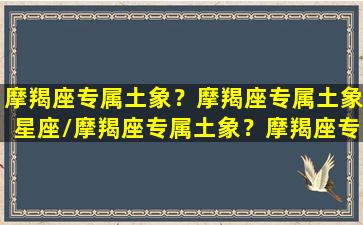 摩羯座专属土象？摩羯座专属土象星座/摩羯座专属土象？摩羯座专属土象星座-我的网站