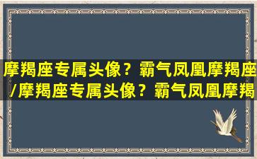 摩羯座专属头像？霸气凤凰摩羯座/摩羯座专属头像？霸气凤凰摩羯座-我的网站