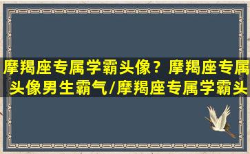 摩羯座专属学霸头像？摩羯座专属头像男生霸气/摩羯座专属学霸头像？摩羯座专属头像男生霸气-我的网站