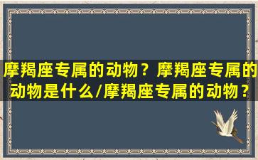 摩羯座专属的动物？摩羯座专属的动物是什么/摩羯座专属的动物？摩羯座专属的动物是什么-我的网站