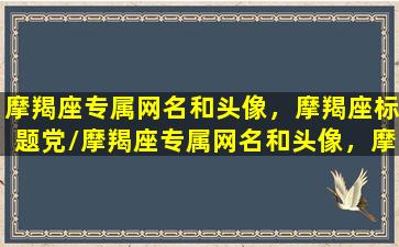 摩羯座专属网名和头像，摩羯座标题党/摩羯座专属网名和头像，摩羯座标题党-我的网站