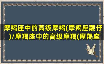 摩羯座中的高级摩羯(摩羯座靓仔)/摩羯座中的高级摩羯(摩羯座靓仔)-我的网站