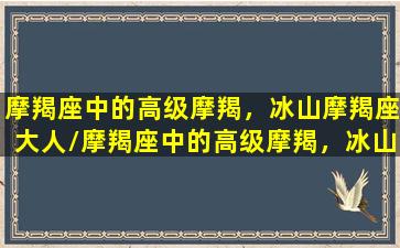 摩羯座中的高级摩羯，冰山摩羯座大人/摩羯座中的高级摩羯，冰山摩羯座大人-我的网站